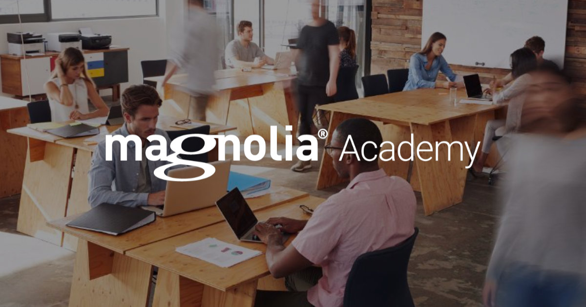 magnolia-academy-teaser